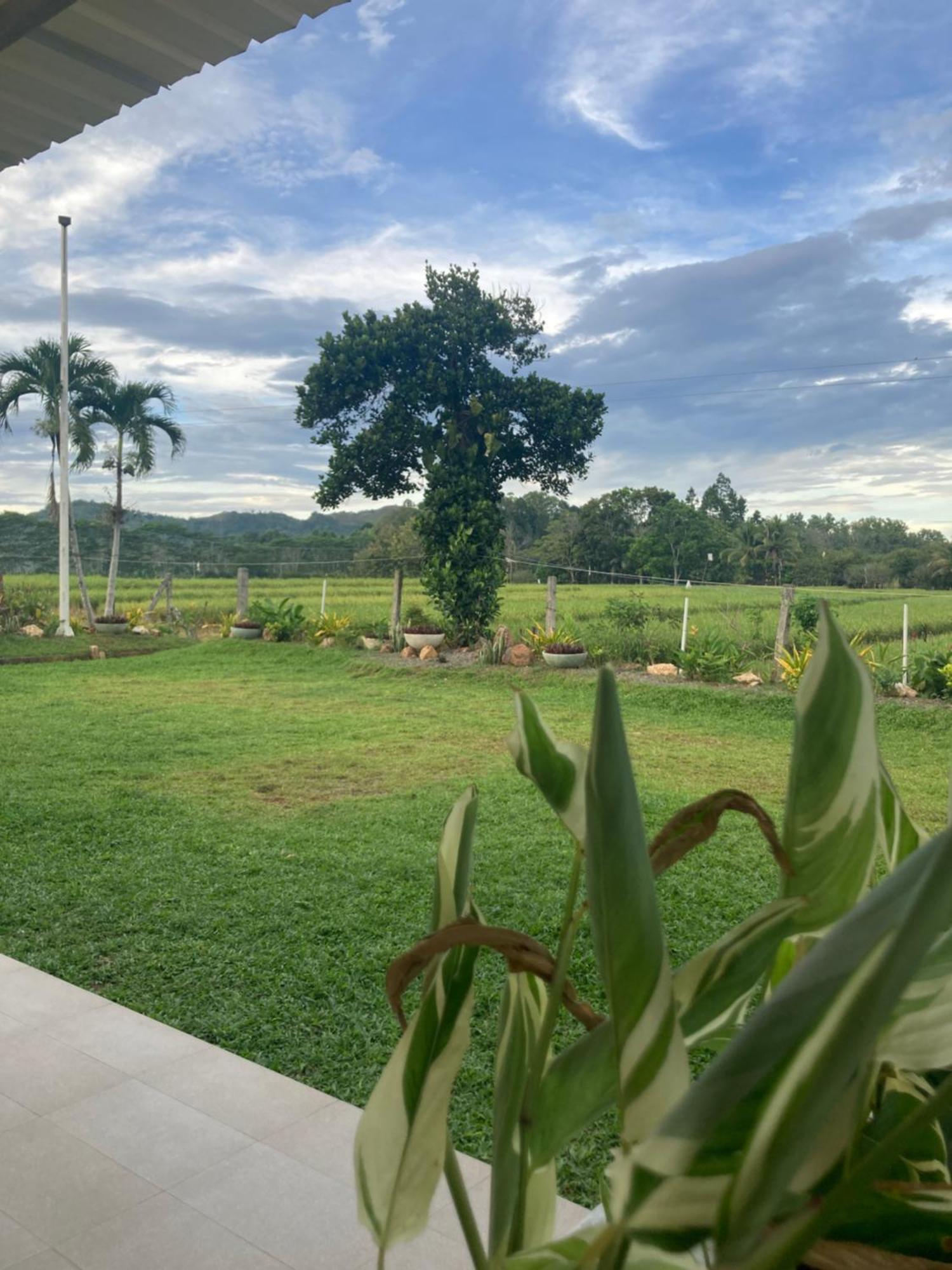 The Eliana Farm Resort And Villas Manolo Fortich Buitenkant foto
